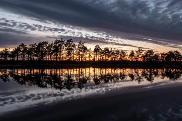 Úchvatně Krásný Výhled Večerní Oblohu Nad Lesním Jezerem — Stock fotografie