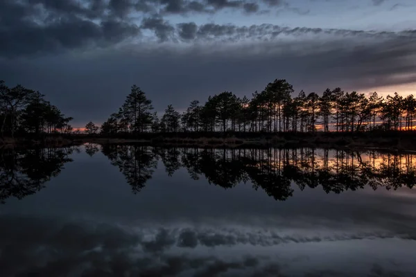 Úchvatně Krásný Výhled Večerní Oblohu Nad Lesním Jezerem — Stock fotografie