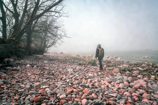 Paysage Mystique Mer Baltique Estonie — Photo