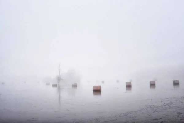 Сено Рулоны Воде Утренний Туман — стоковое фото