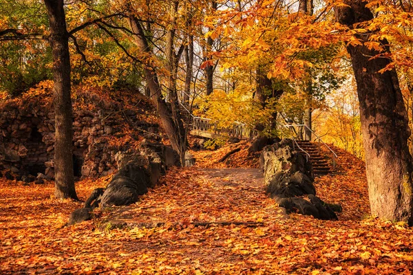 Nádherný Zlatý Podzim Estonii — Stock fotografie