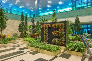 Singapur - Kasım, 2015 yaklaşık: Singapur Changi Havaalanı içinde.