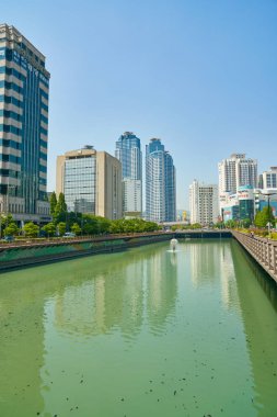 Busan, Güney Kore - Mayıs, 2017 yaklaşık: Busan kentsel peyzaj. Eski Pusan bilinen Busan, Güney Kore'nin ikinci en çok kalabalık şehir Seul sonra olduğunu..