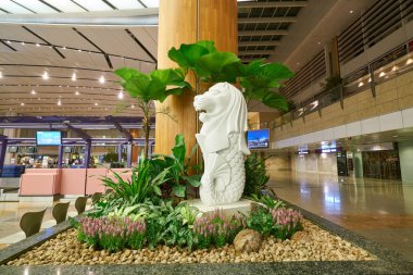 Singapur changi Havaalanı