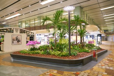 Singapur changi Havaalanı