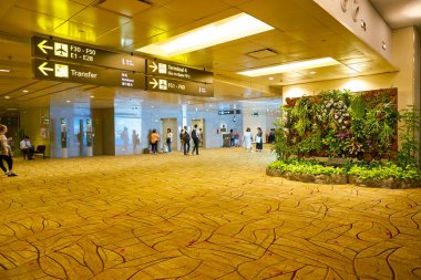Singapur changi Havaalanı