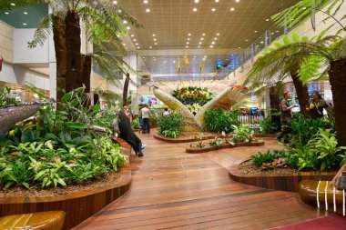 Changi Uluslararası Havalimanı