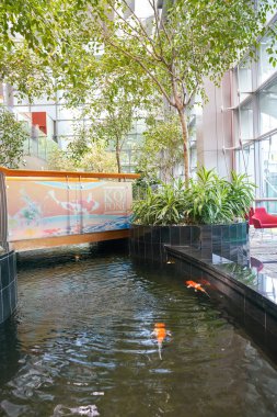 Koi Pond