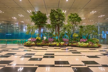 Singapur changi Havaalanı