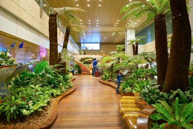 Changi Uluslararası Havalimanı