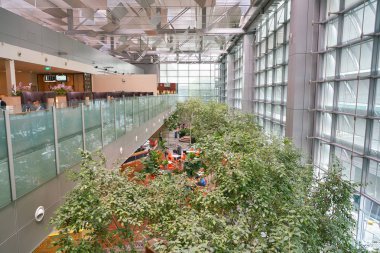 Changi Uluslararası Havalimanı