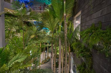 Jewel Changi Havaalanı.