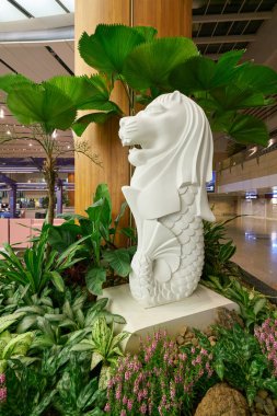 Singapur changi Havaalanı