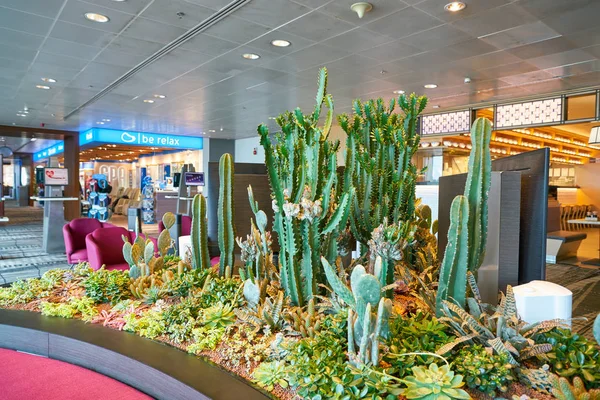 Changi Uluslararası Havalimanı