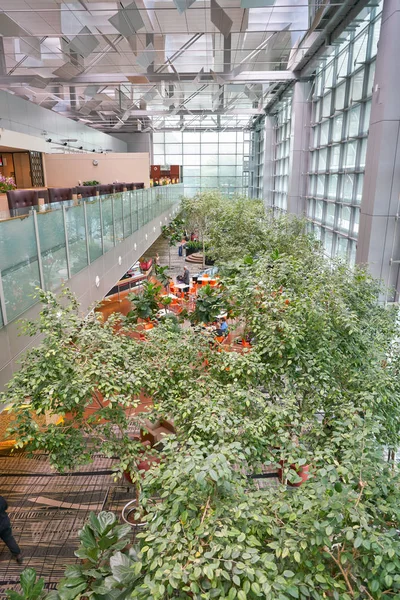 Changi Uluslararası Havalimanı