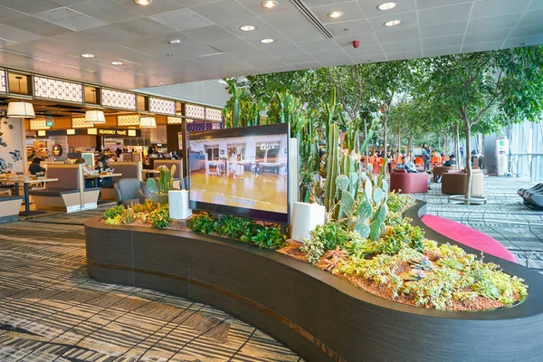 Singapur changi Havaalanı