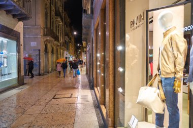 Görüntü penceresi