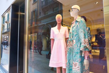 Görüntü penceresi