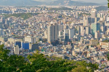 seul