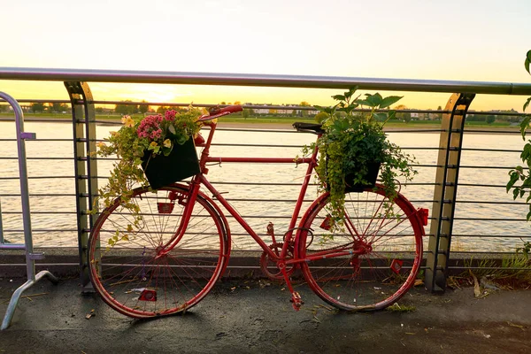 Düsseldorf — Stok fotoğraf