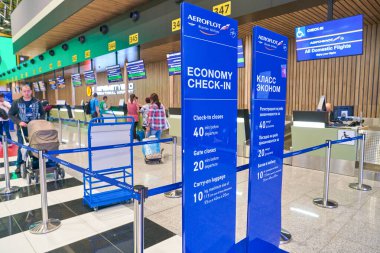 Sheremetyevo Uluslararası Havaalanı