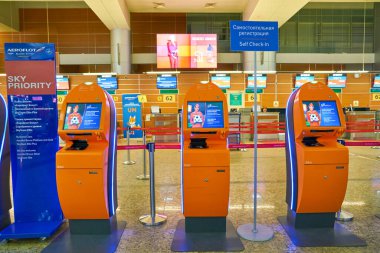 Sheremetyevo Uluslararası Havaalanı