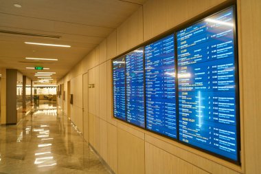 Sheremetyevo Uluslararası Havaalanı