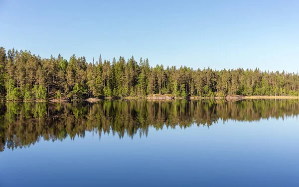 Stranden Sjön Skogen Och Dess Speglar — Stockfoto
