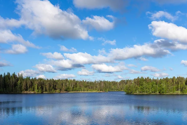 Liggande Skogstjärn Början Sommaren — Stockfoto