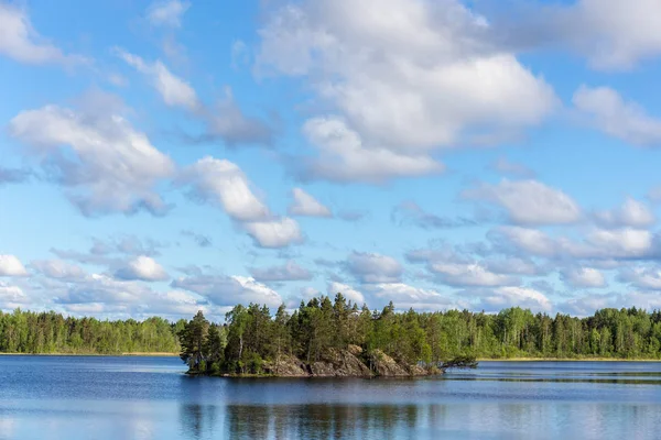 Isla Rocosa Lago Forestal Principios Verano — Foto de Stock