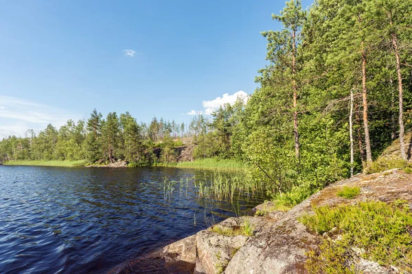 Paisaje Lago Forestal Verano —  Fotos de Stock