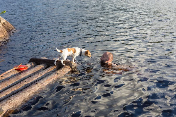 Perro Una Balsa Madera Encuentra Con Hombre Nadador — Foto de Stock