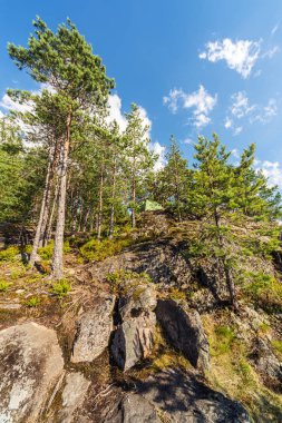 turist çadır yaz ormanın içinde buzlu
