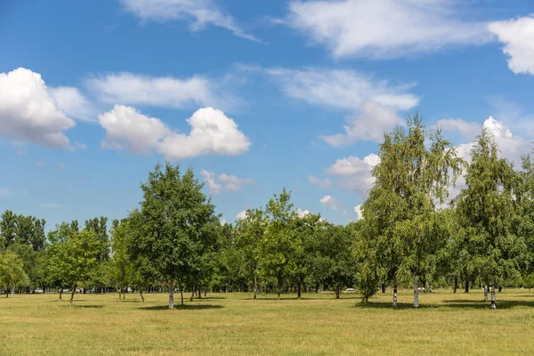 Parkta Bir Güneşli Yaz Gününde Manzara — Stok fotoğraf