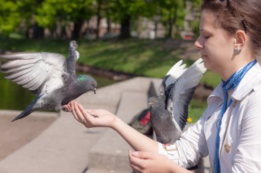 bir parkta kız beslenme güvercinler yakın çekim
