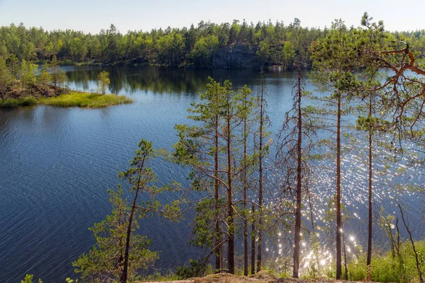 landscape on a forest lake in a sunny summer day