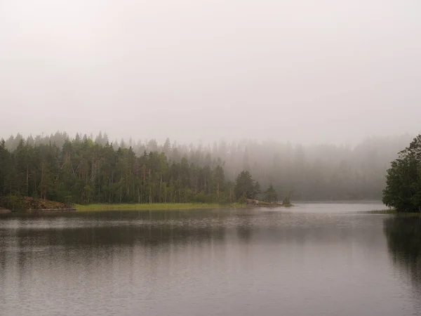 Paysage Sur Lac Forestier Avec Une Brume Matinale — Photo