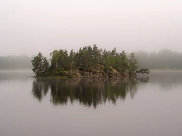 Isola Lago Boschivo Con Nebbia Mattutina Fotografia Stock