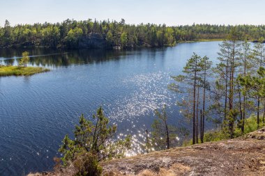 Yaz aylarında bir orman göl manzara