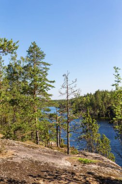 kayalık yaz aylarında bir orman gölün kıyısında