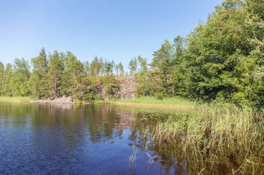 bir orman gölde bir güneşli yaz günde manzara