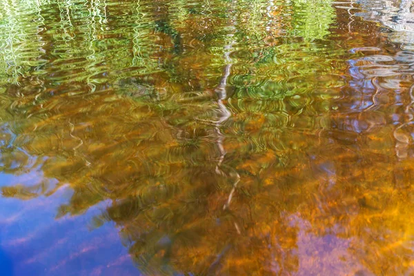 Fondo Abstracto Los Reflejos Los Árboles Agua — Foto de Stock