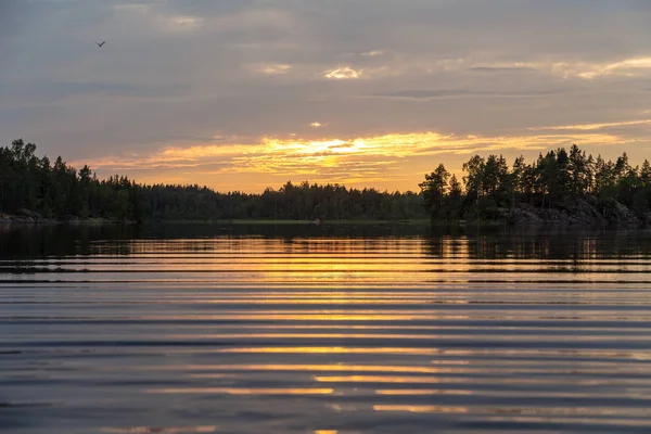 Increspature Sull Acqua Lago Foresta Una Sera Estate — Foto Stock