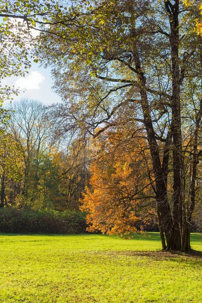 Landskap Med Solig Höst Park — Stockfoto