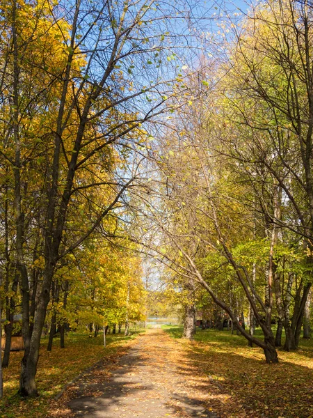 秋天公园里有一条小路的风景 — 图库照片