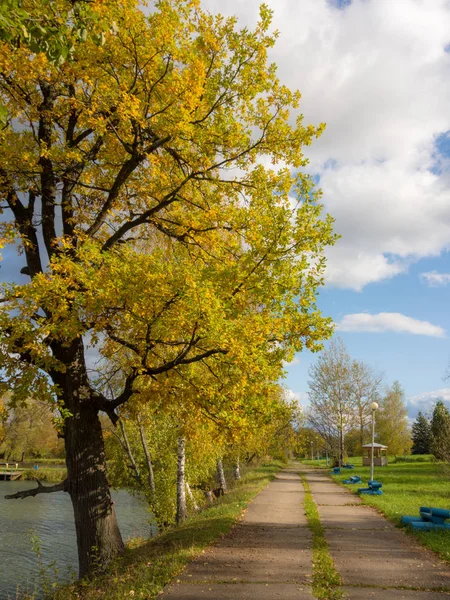 Landschap Met Bomen Door Vijver Het Najaar Park — Stockfoto