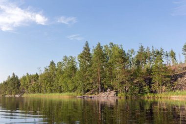 Yaz aylarında bir orman gölün kıyısında
