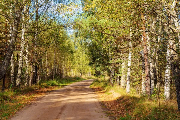 Venkova Polní Cesta Lese Počátkem Podzimu — Stock fotografie
