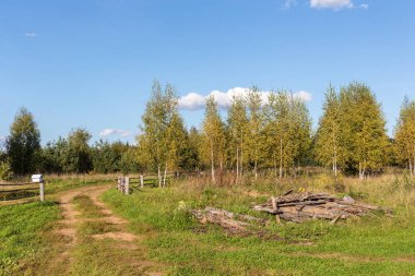 öğleden sonra erken sonbahar güneşli kırsal manzara