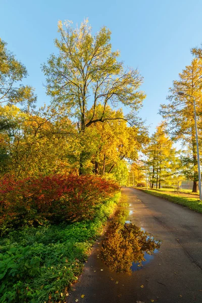 在秋季公园的风景在一个晴朗的早晨 — 图库照片